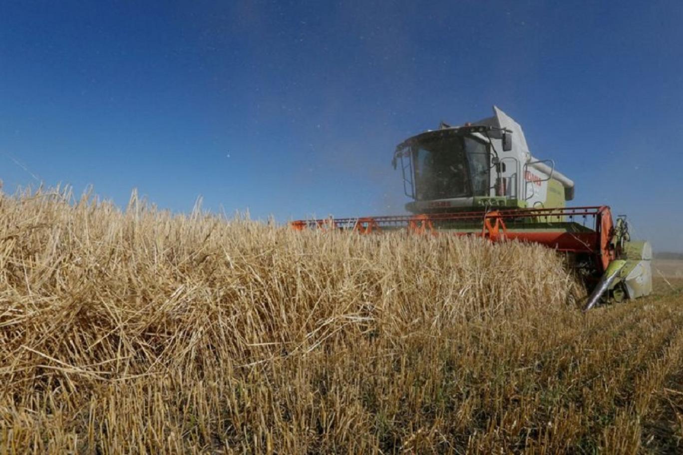 لماذا تتلاشى هيمنة الولايات المتحدة على أسواق القمح والحبوب العالمية؟